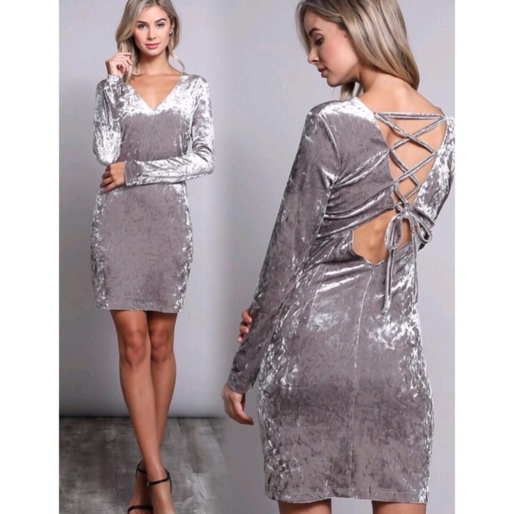Long Sleeve Velvet Dress in Silver